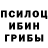 Псилоцибиновые грибы мицелий Pubgo Noob