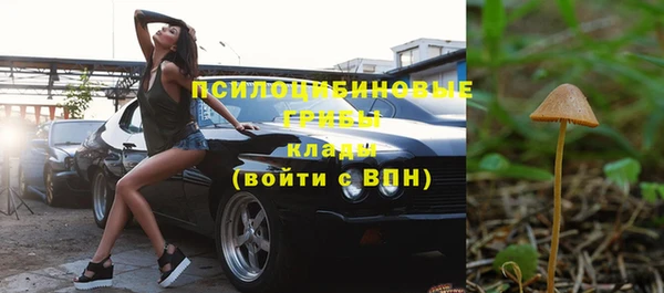 MESCALINE Гусев
