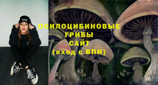 ешки Горнозаводск