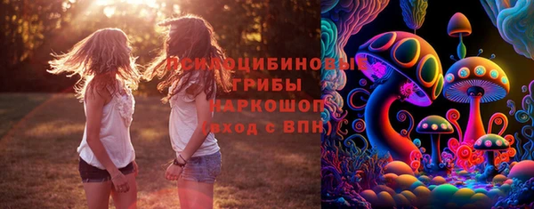 соль курить ск Гусь-Хрустальный