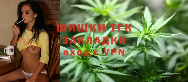 спиды Горняк